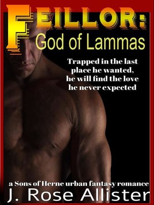 cover image of Feillor